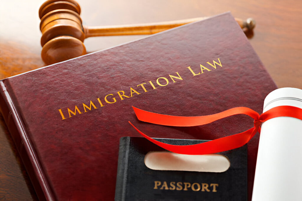 immigration lawyer